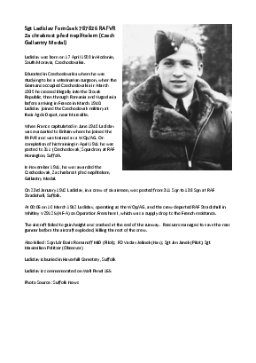 A preview of a PDF biography for Fornusek, Ladislav
